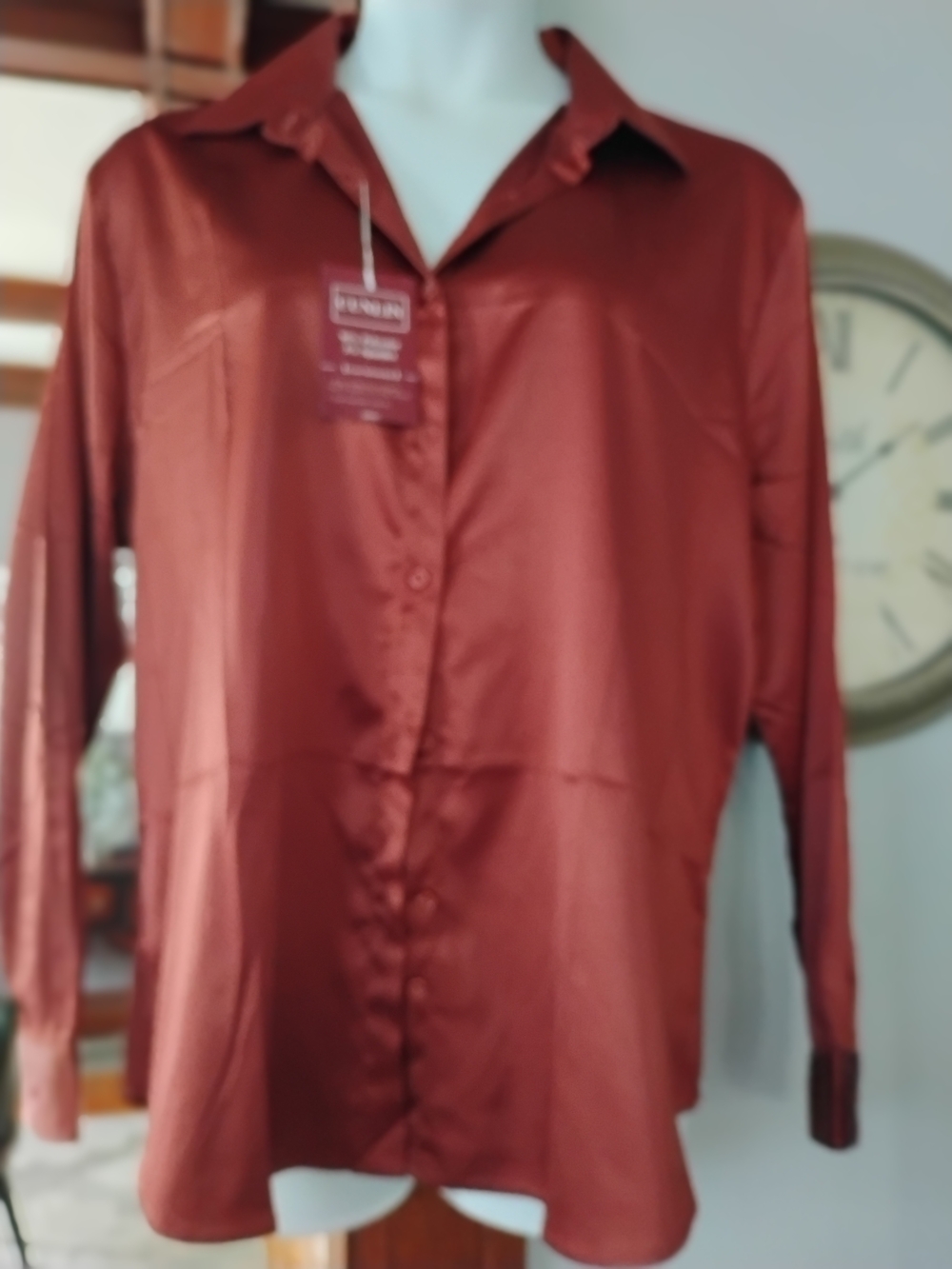 Satin Button-Up Blouse in Rust